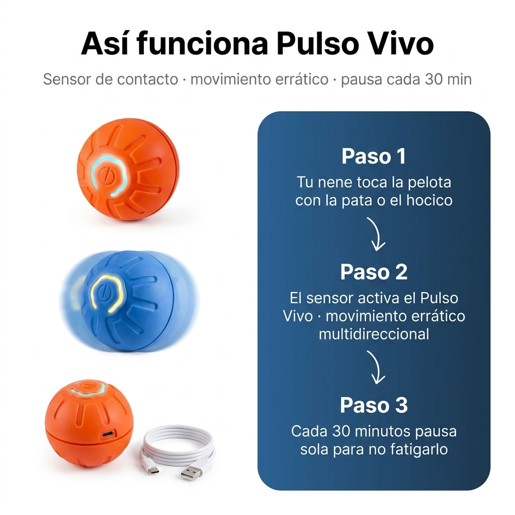 gid://shopify/MediaImage/42299160101082